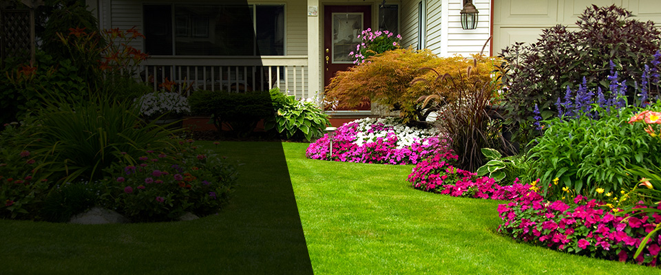Montville Landscapers